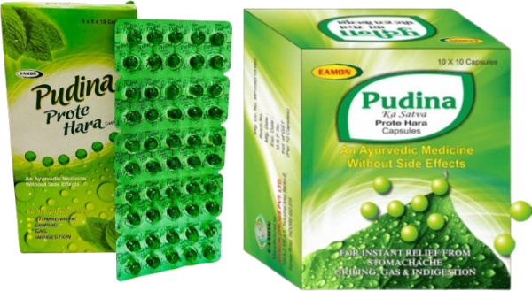 PUDINA HARA packaging